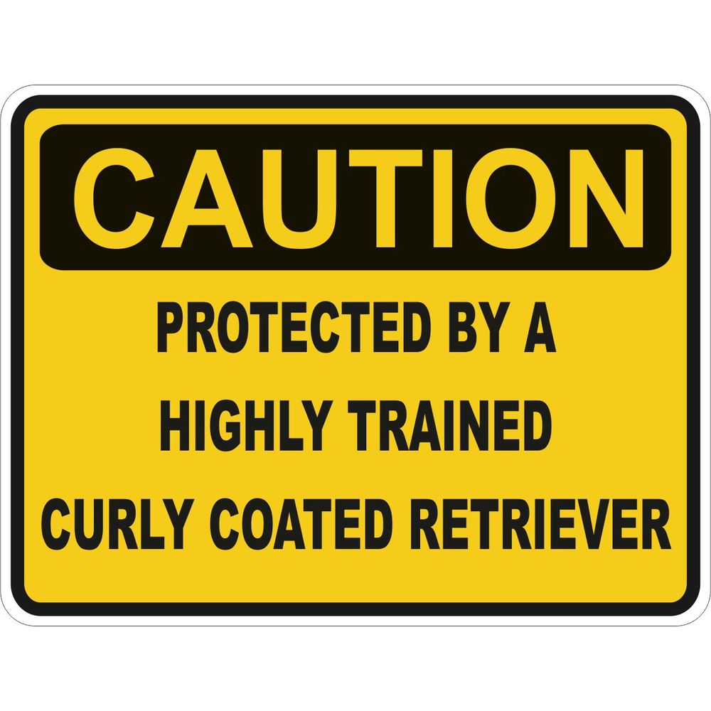 Caution Curly Coated Retriever