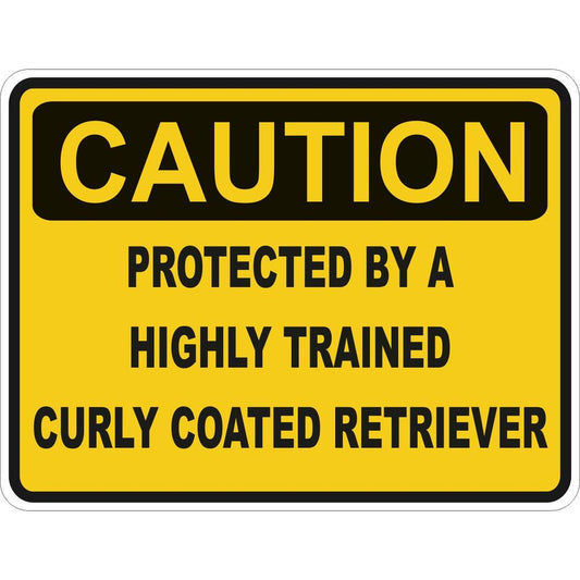 Caution Curly Coated Retriever