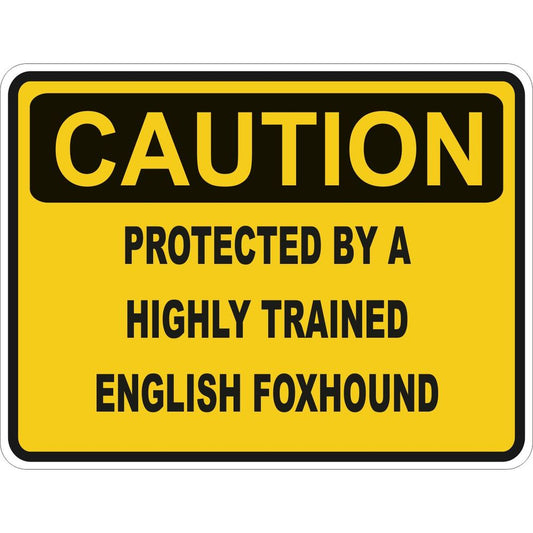 Caution English Foxhound