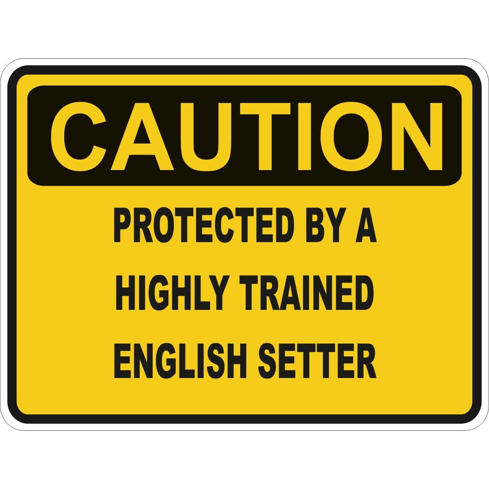 Caution English Setter