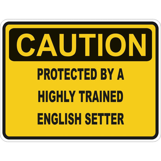 Caution English Setter