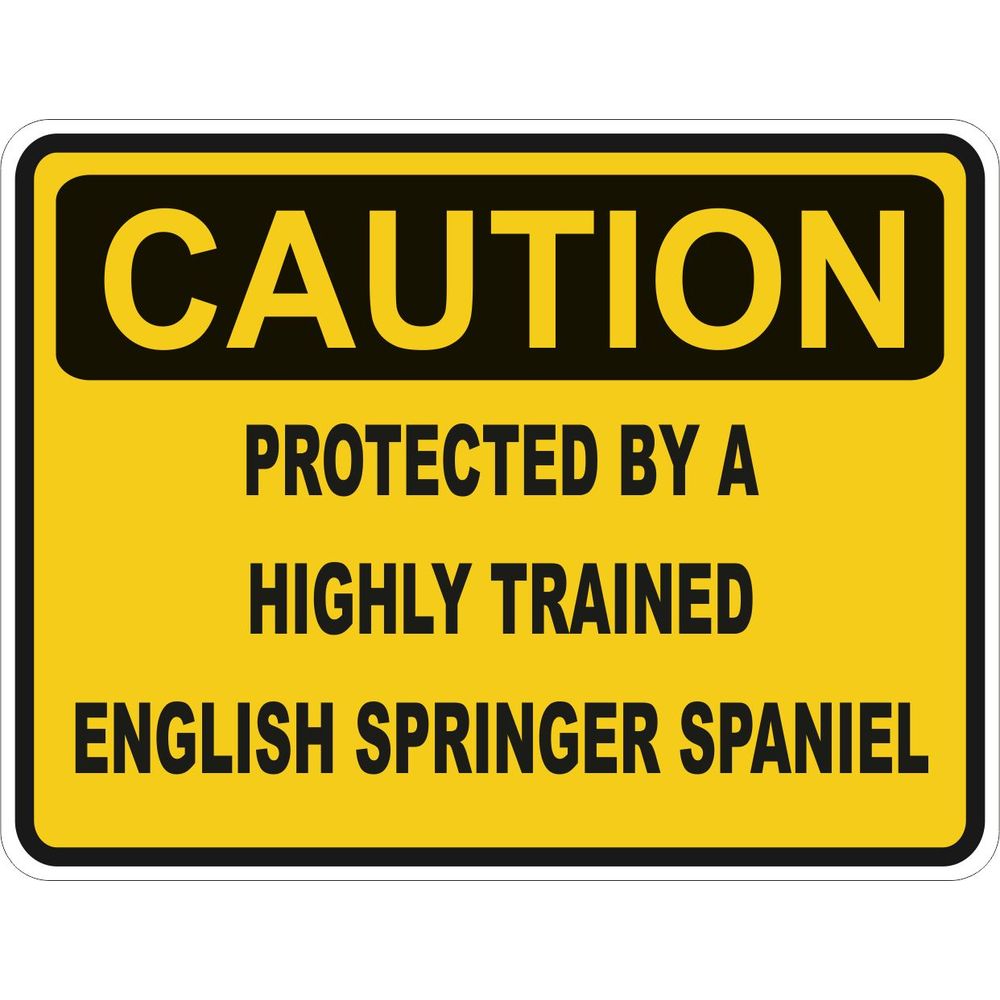 Caution English Springer Spaniel