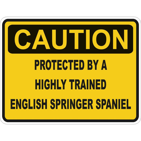 Caution English Springer Spaniel