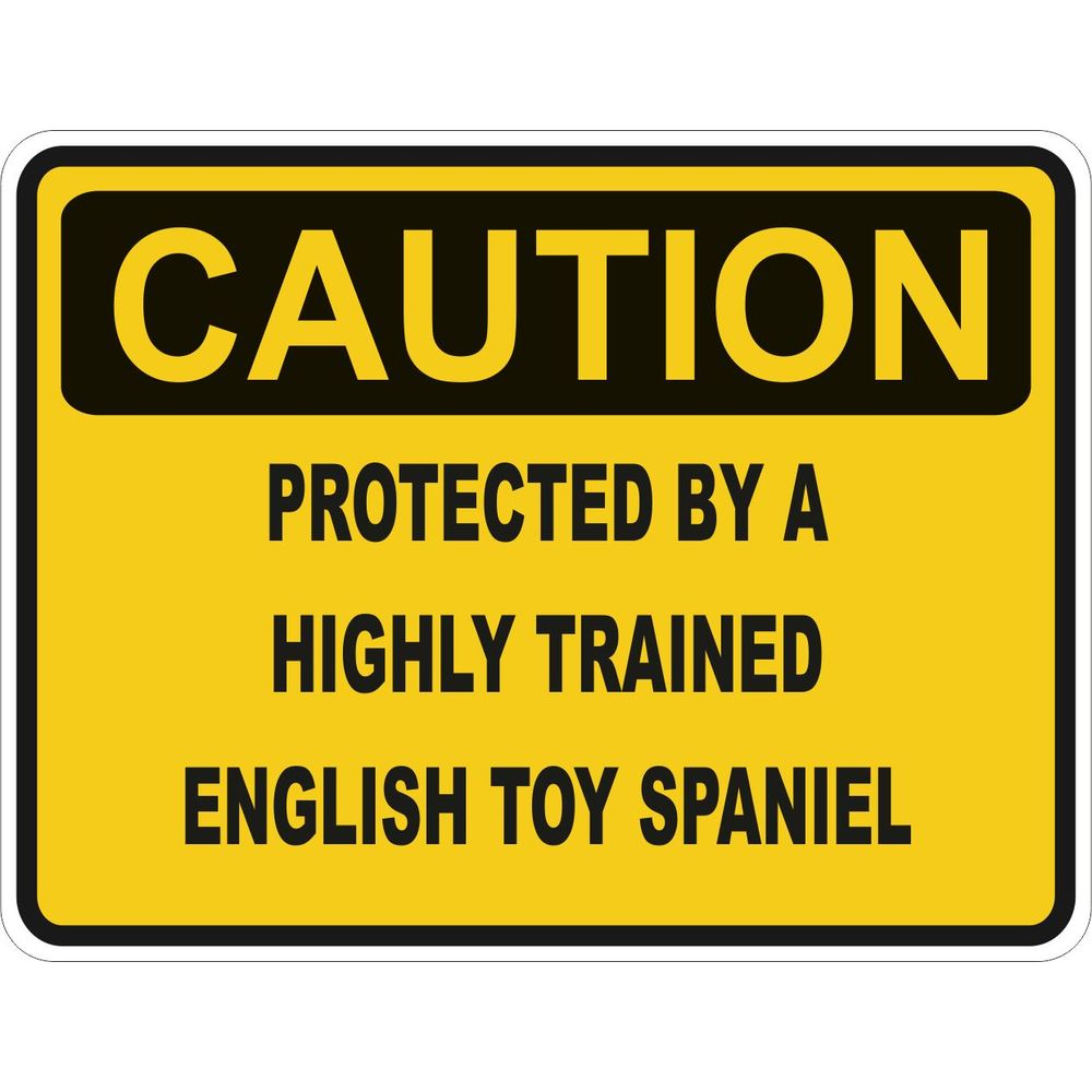 Caution English Toy Spaniel