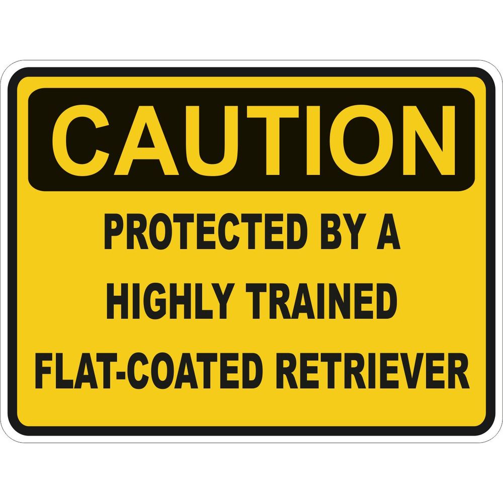 Caution Flat Coated Retriever