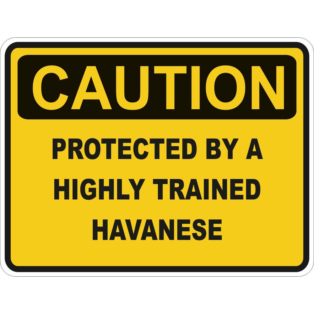 Caution Havanese