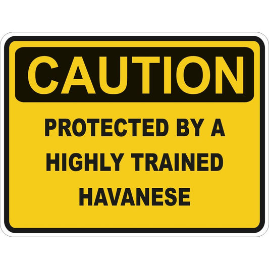 Caution Havanese
