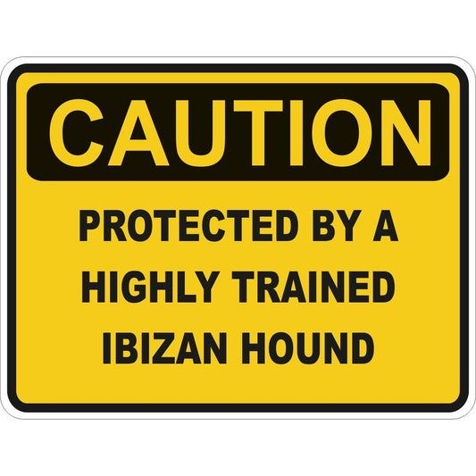 Caution Ibizan Hound