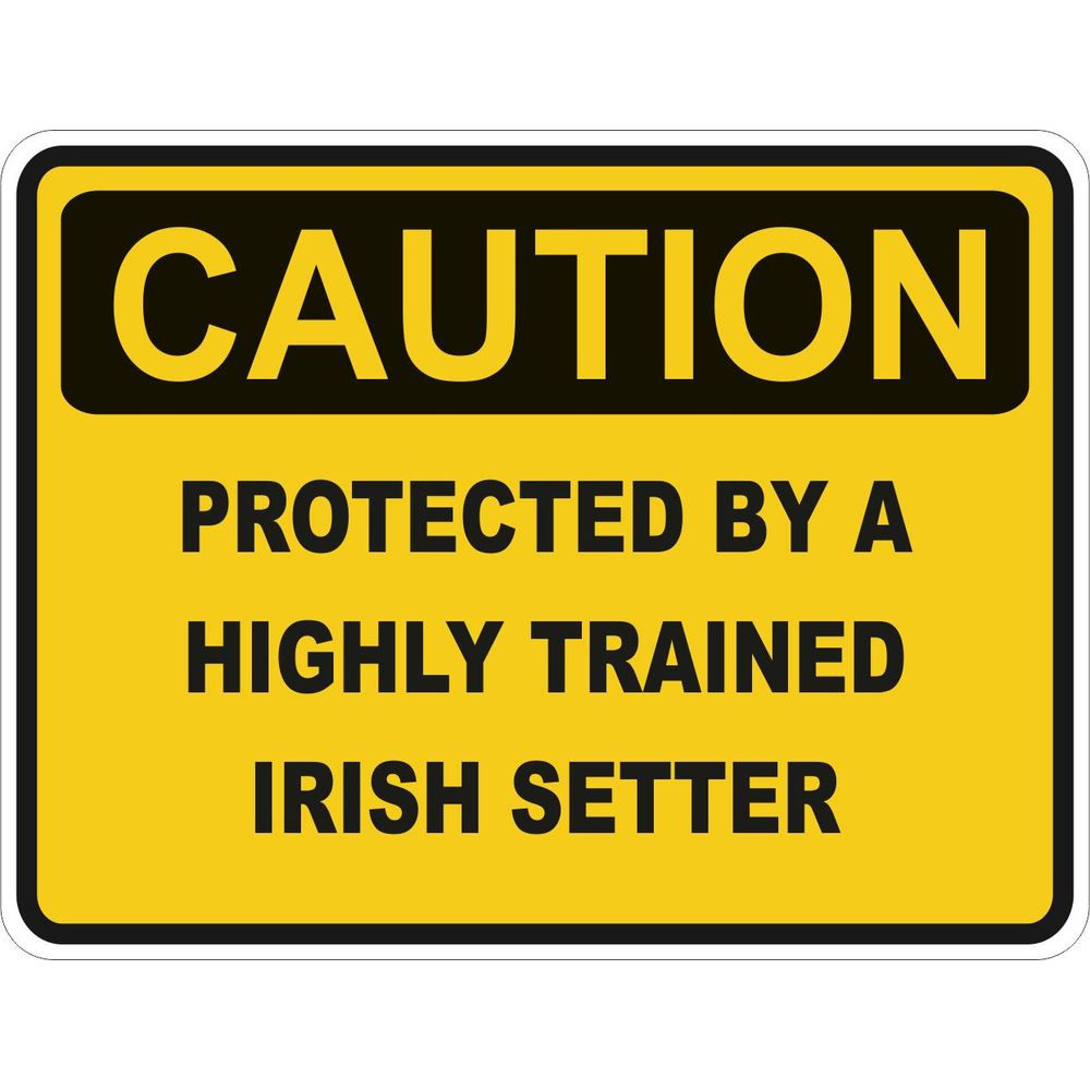 Caution Irish Setter