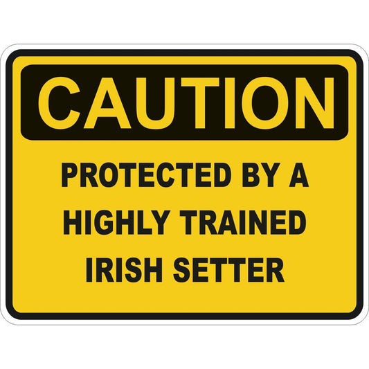 Caution Irish Setter