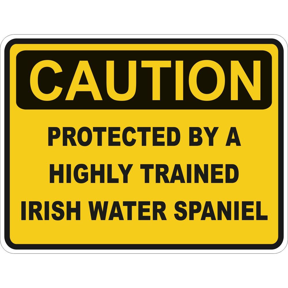 Caution Irish Water Spaniel