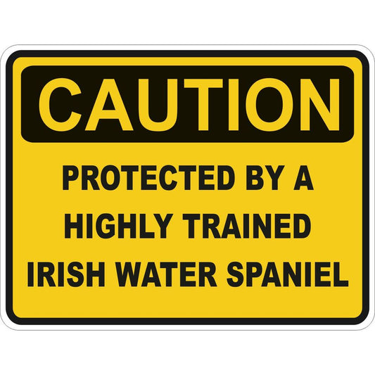 Caution Irish Water Spaniel