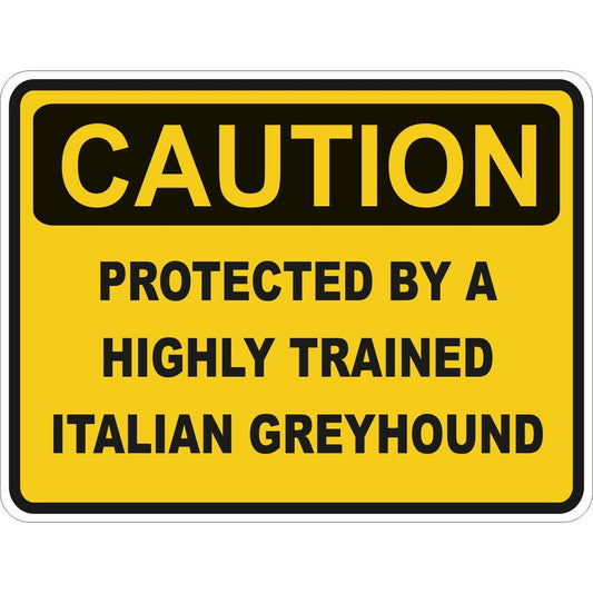 Caution Italian Greyhound