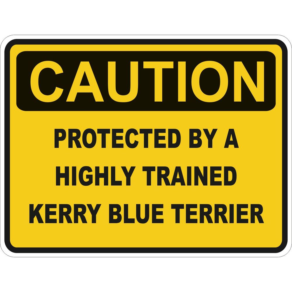 Caution Kerry Blue Terrier