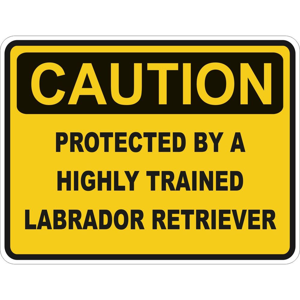 Caution Labrador Retriever