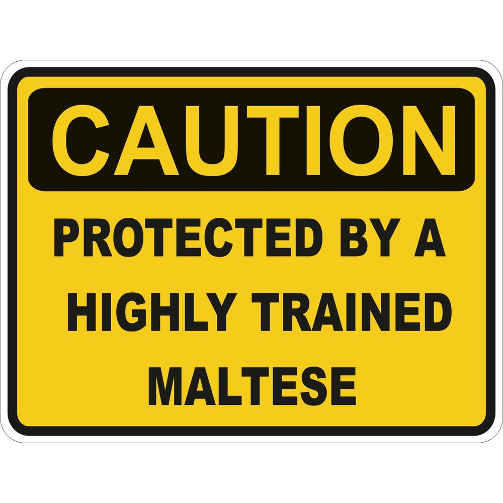 Caution Maltese