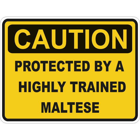 Caution Maltese