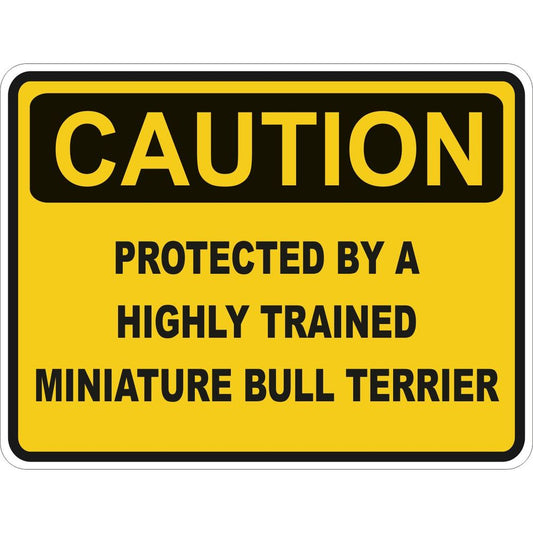 Caution Miniature Bull Terrier