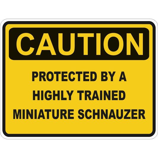 Caution Miniature Schnauzer