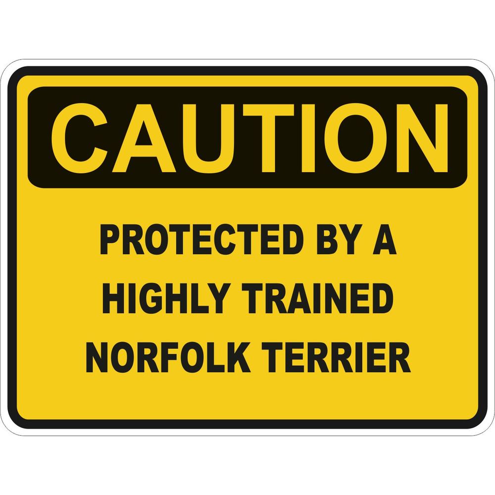 Caution Norfolk Terrier