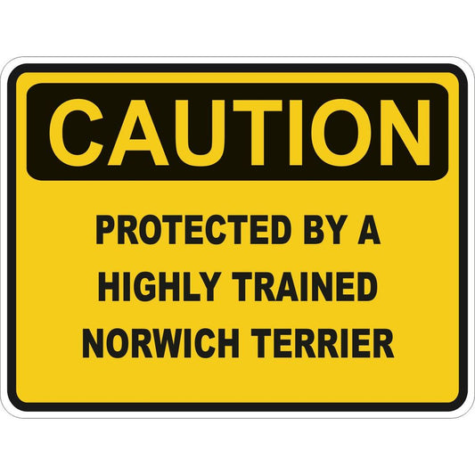 Caution Norwich Terrier