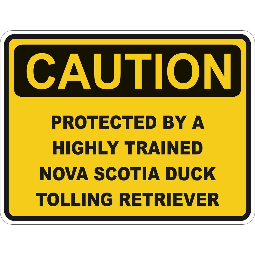 Caution Nova Scotia Duck Tolling Retriever