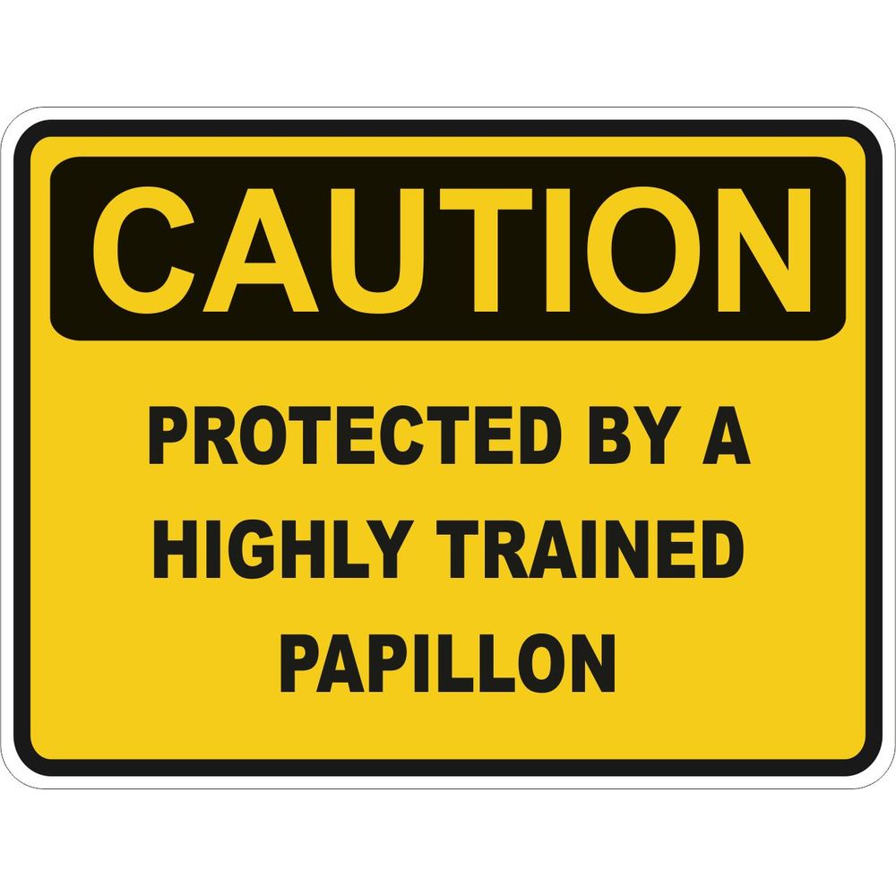 Caution Papillon