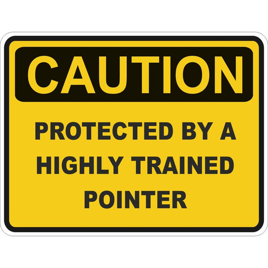 Caution Pointer