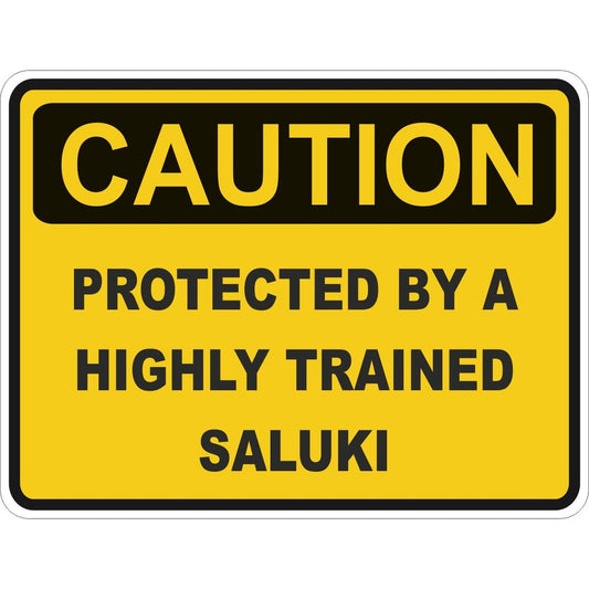 Caution SalUKi