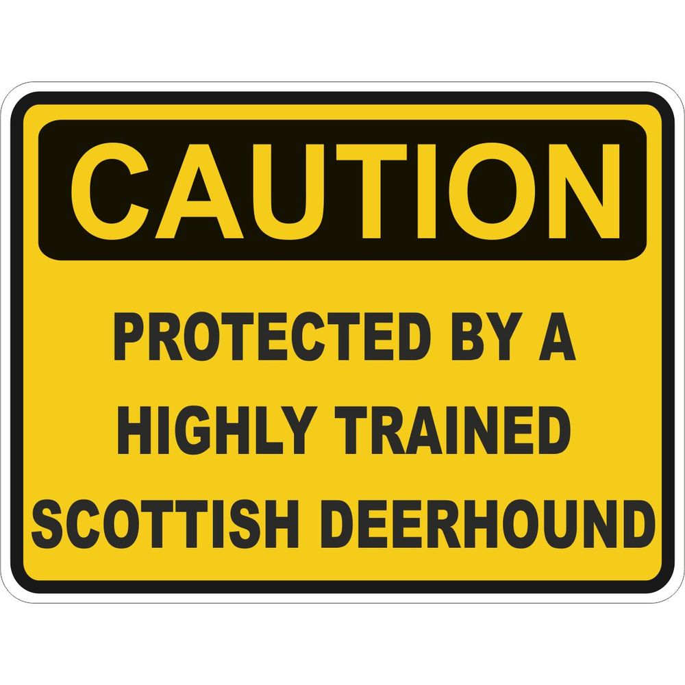 Caution Scottish Deerhound