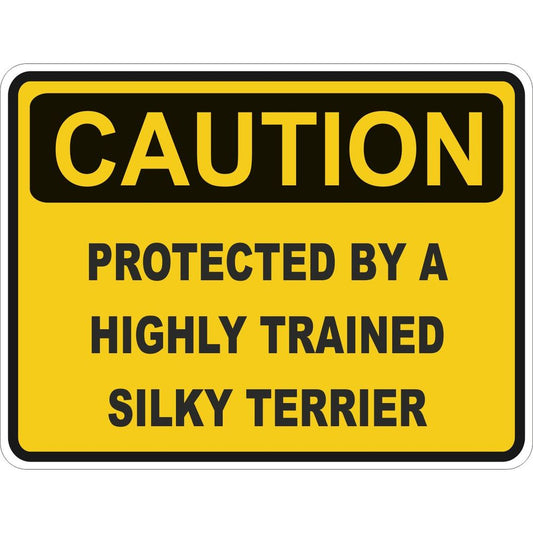 Caution Silky Terrier