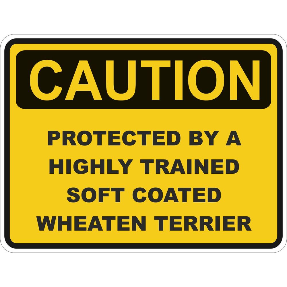 Caution Soft Coated Wheaten Terrier