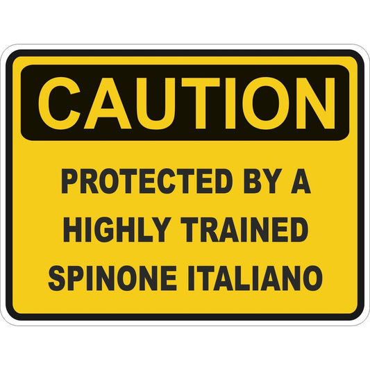 Caution Spinone Italiano