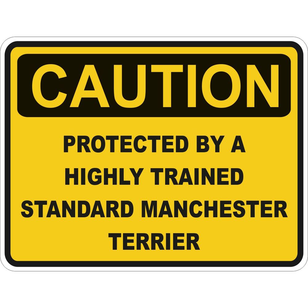 Caution Standard Manchester Terrier