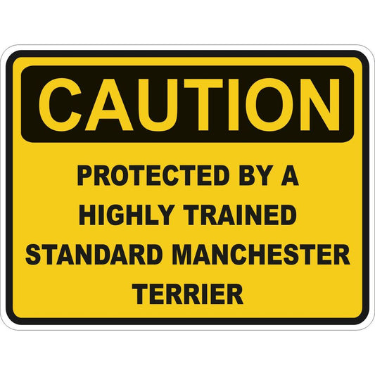 Caution Standard Manchester Terrier