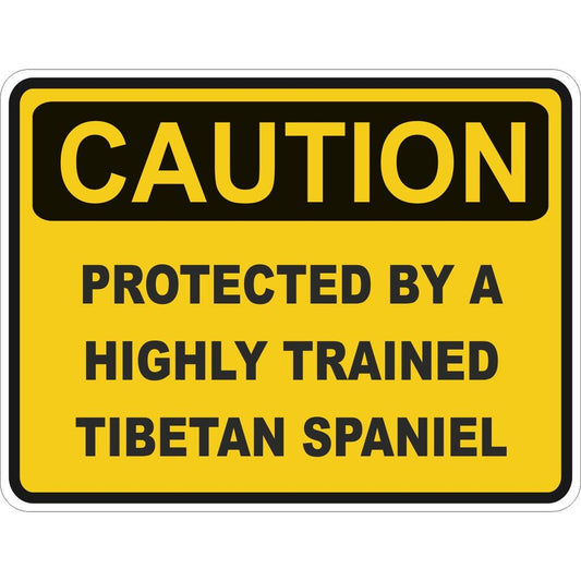 Caution Tibetan Spaniel