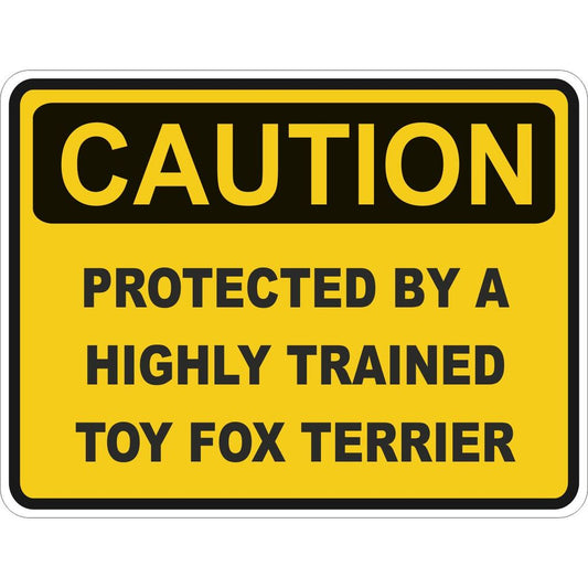 Caution Toy Fox Terrier
