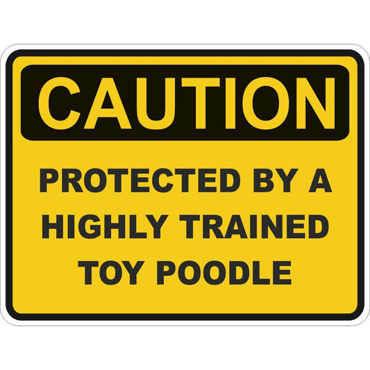 Caution Toy Poodle