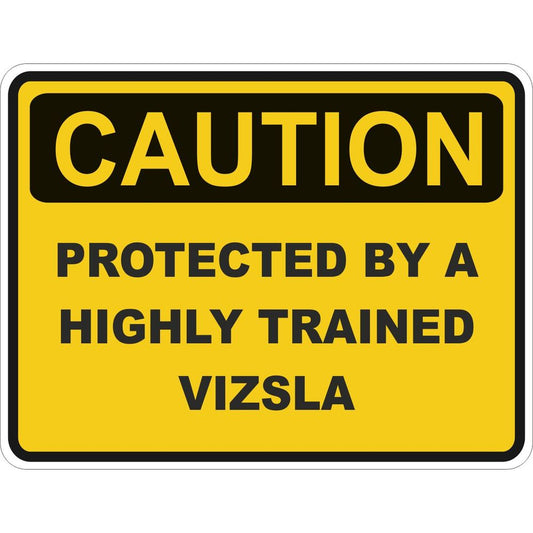 Caution Vizsla