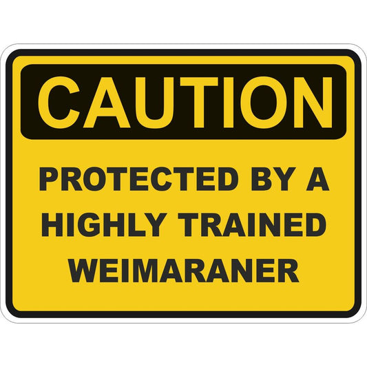 Caution Weimaraner
