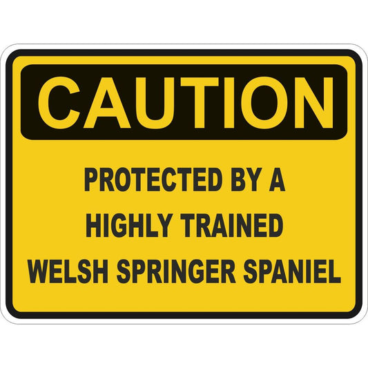 Caution Welsh Springer Spaniel