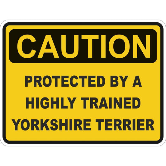 Caution Yorkshire Terrier