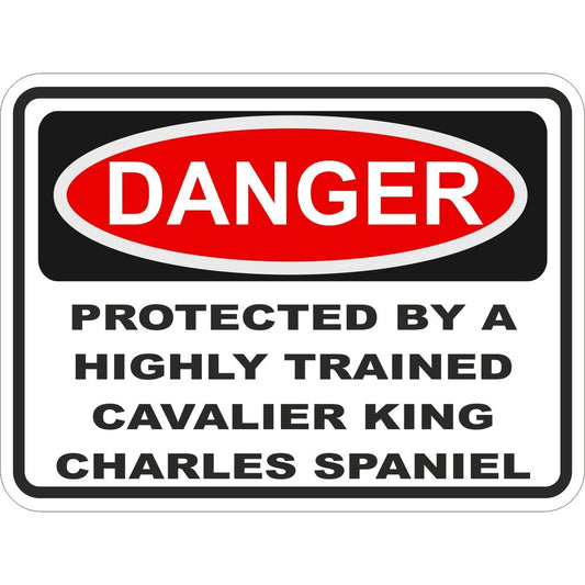 Cavalier King Charles Spaniel