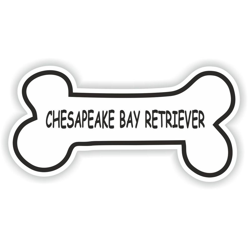 Chesapeake Bay Retriever