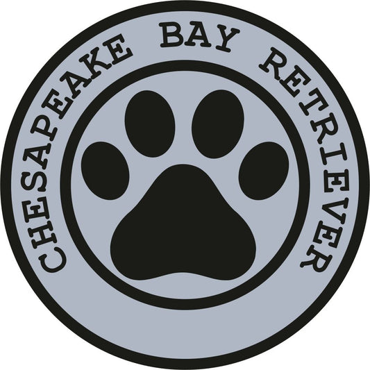 Chesapeake Bay Retriever