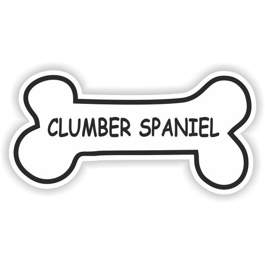 Clumber Spaniel