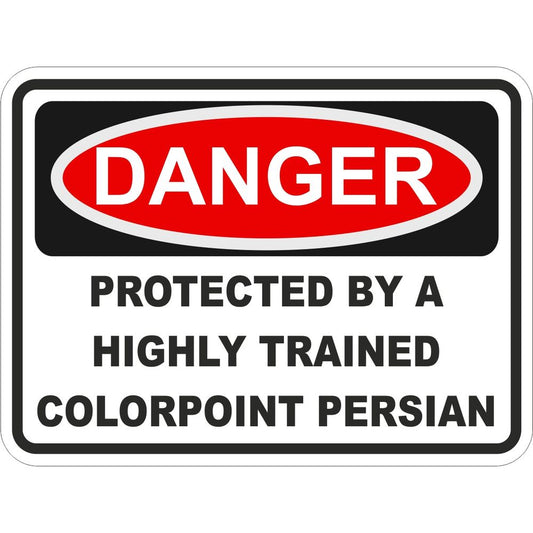 Colorpoint Persian