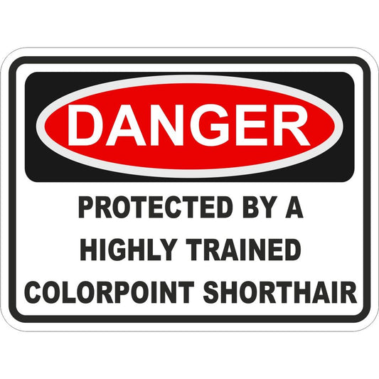 Colorpoint Shorthair