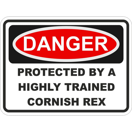 Cornish Rex