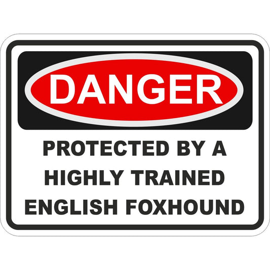 English Foxhound
